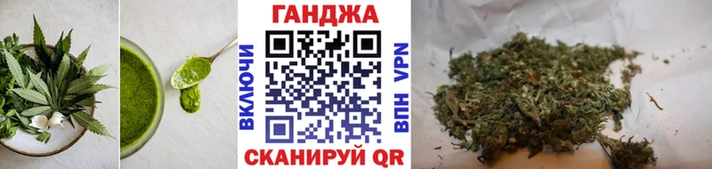 OMG ONION  Бирюсинск  Cannafood конопля 
