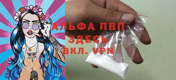 стафф Арсеньев