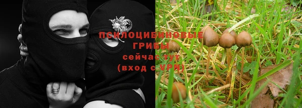 стафф Арсеньев
