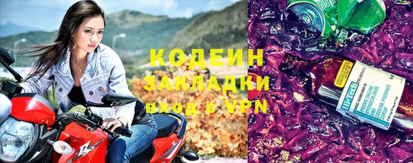 стафф Арсеньев